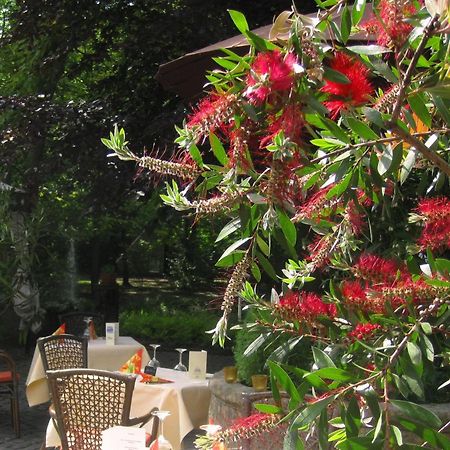 Landidyll Wilminks Parkhotel Neuenkirchen  Kültér fotó