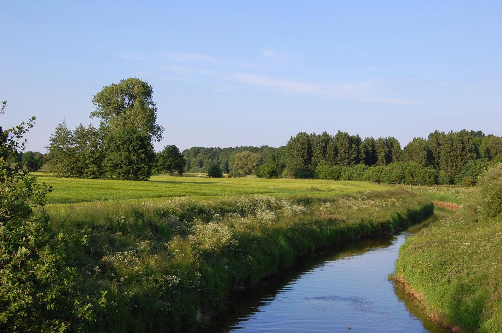 Landidyll Wilminks Parkhotel Neuenkirchen  Kültér fotó